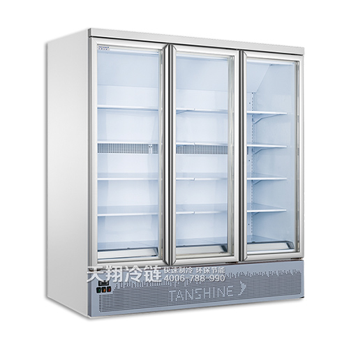 061立式玻璃门整体低温柜